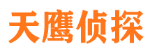 隆安调查公司